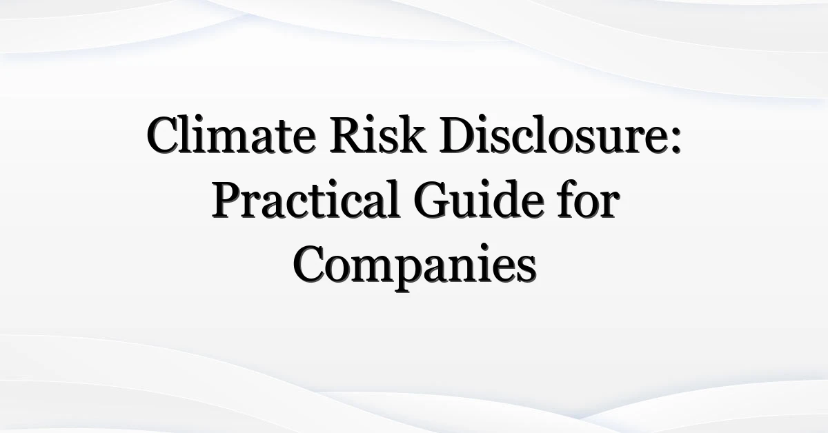 Climate Risk Disclosure: Practical Guide for Companies