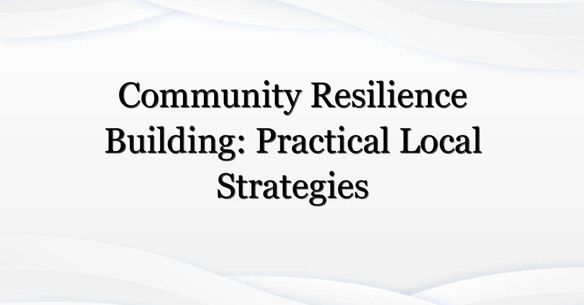 Community Resilience Building: Practical Local Strategies
