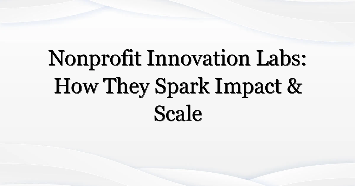 Nonprofit Innovation Labs: How They Spark Impact & Scale