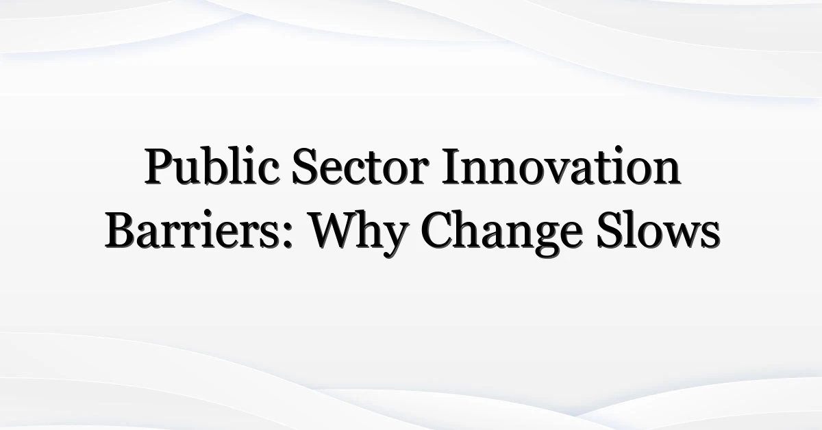 Public Sector Innovation Barriers: Why Change Slows
