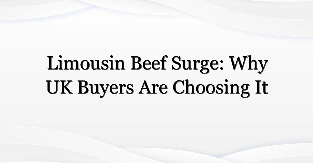 Limousin Beef Surge: Why UK Buyers Are Choosing It