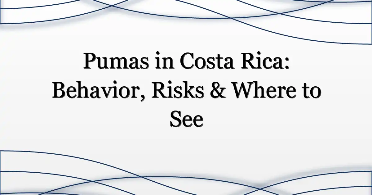 Pumas in Costa Rica: Behavior, Risks & Where to See