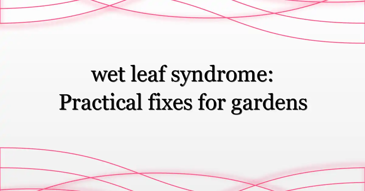 wet leaf syndrome: Practical fixes for gardens