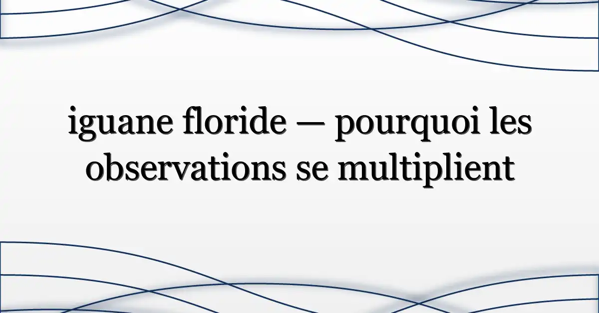 iguane floride — pourquoi les observations se multiplient