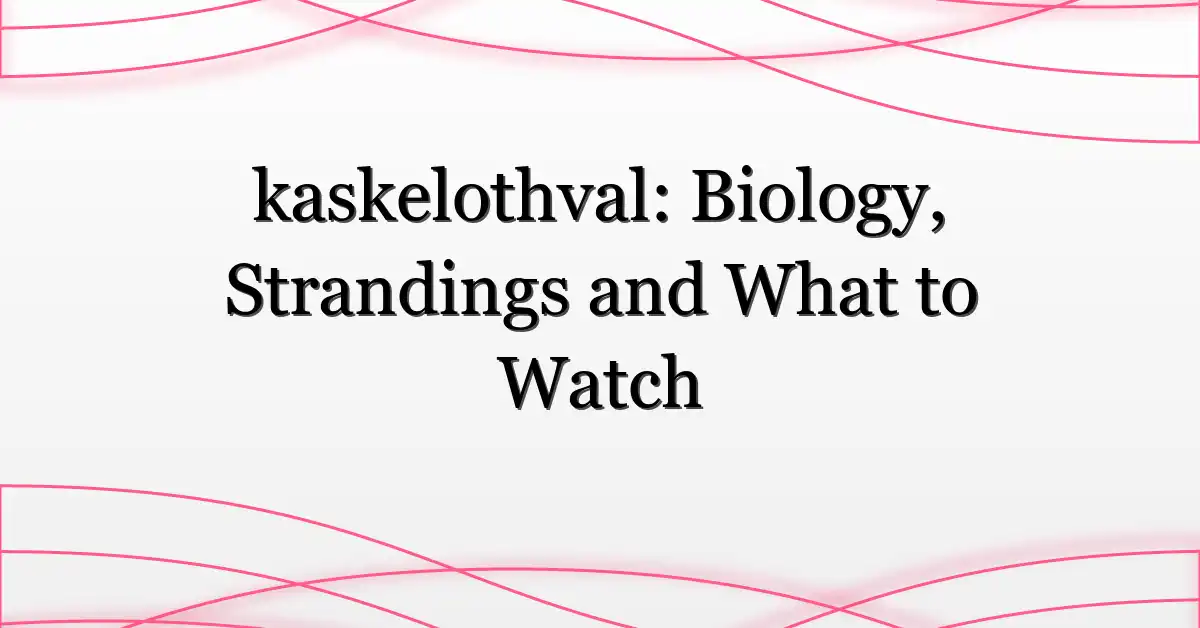 kaskelothval: Biology, Strandings and What to Watch