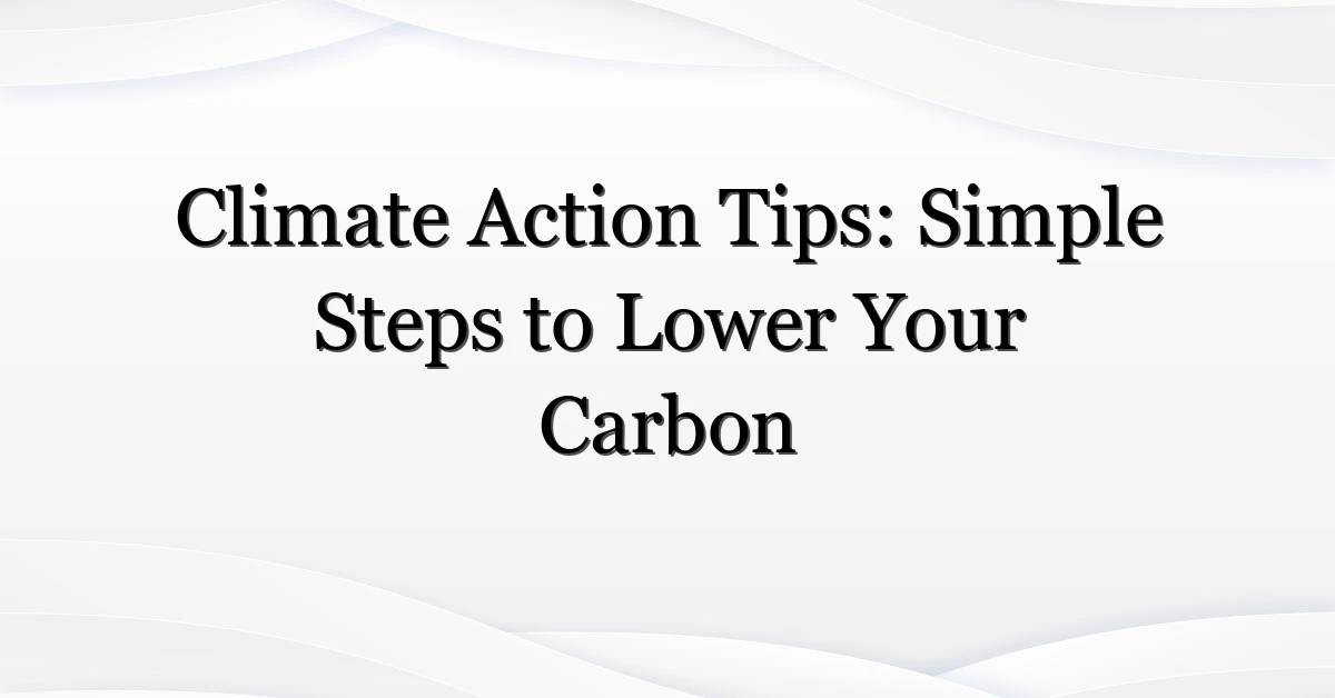 Climate Action Tips: Simple Steps to Lower Your Carbon