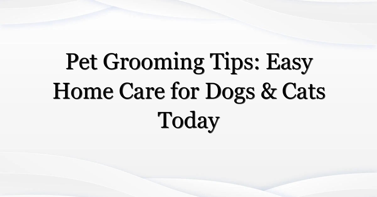 Pet Grooming Tips: Easy Home Care for Dogs & Cats Today