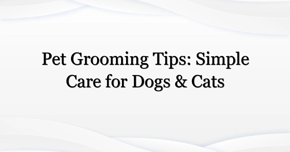 Pet Grooming Tips: Simple Care for Dogs & Cats