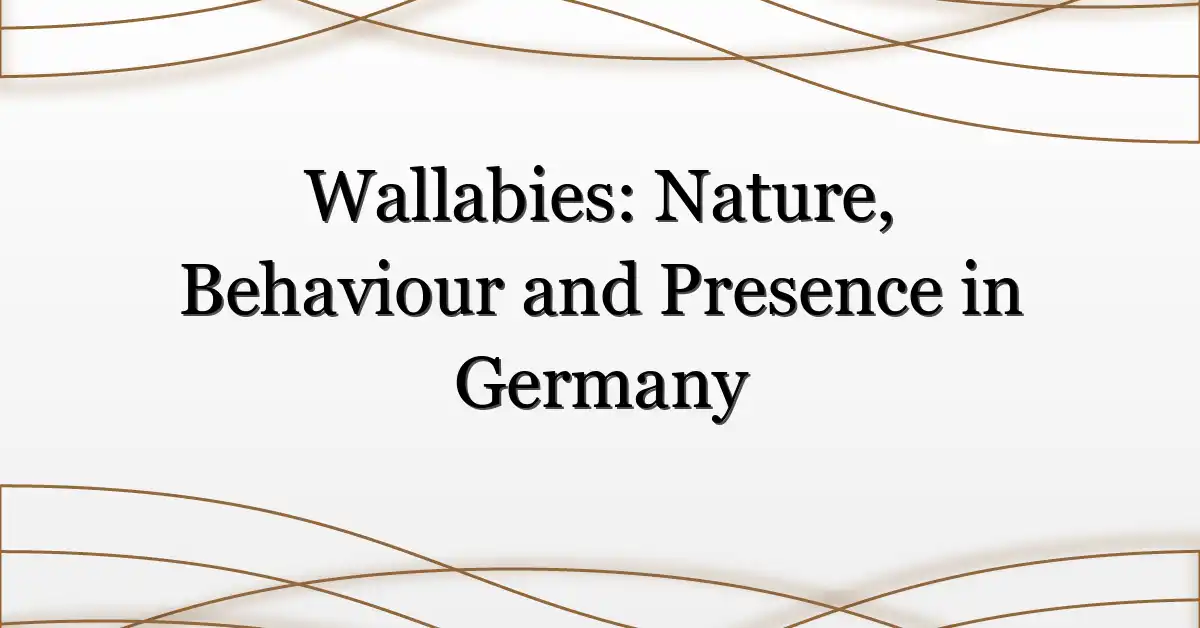 Wallabies: Nature, Behaviour and Presence in Germany
