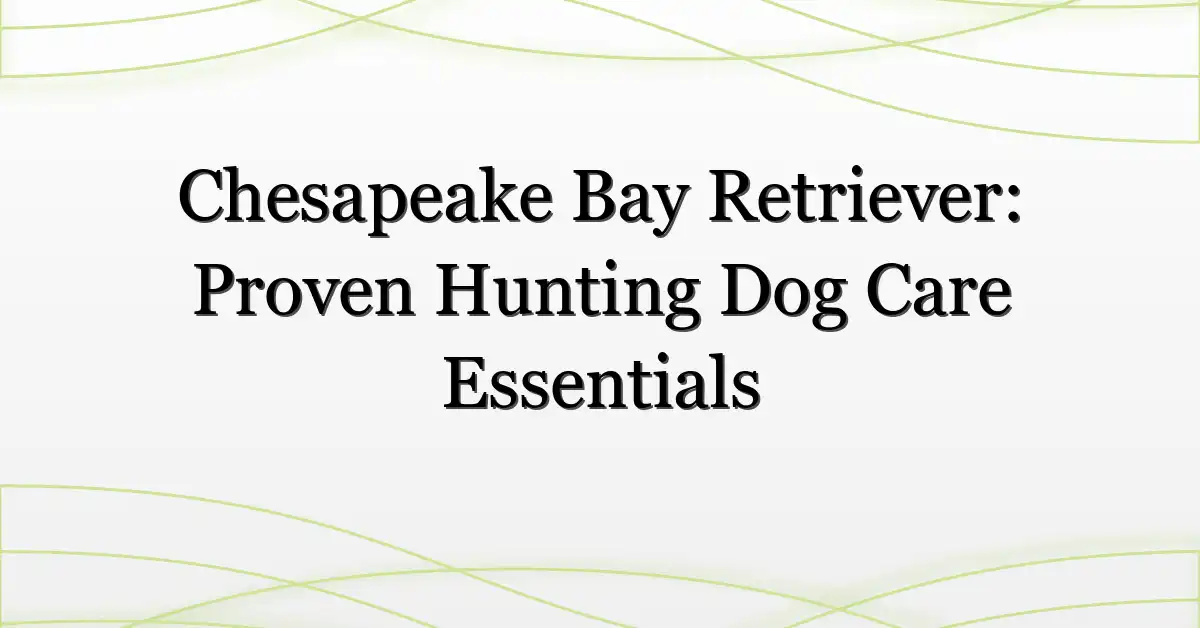 Chesapeake Bay Retriever: Proven Hunting Dog Care Essentials