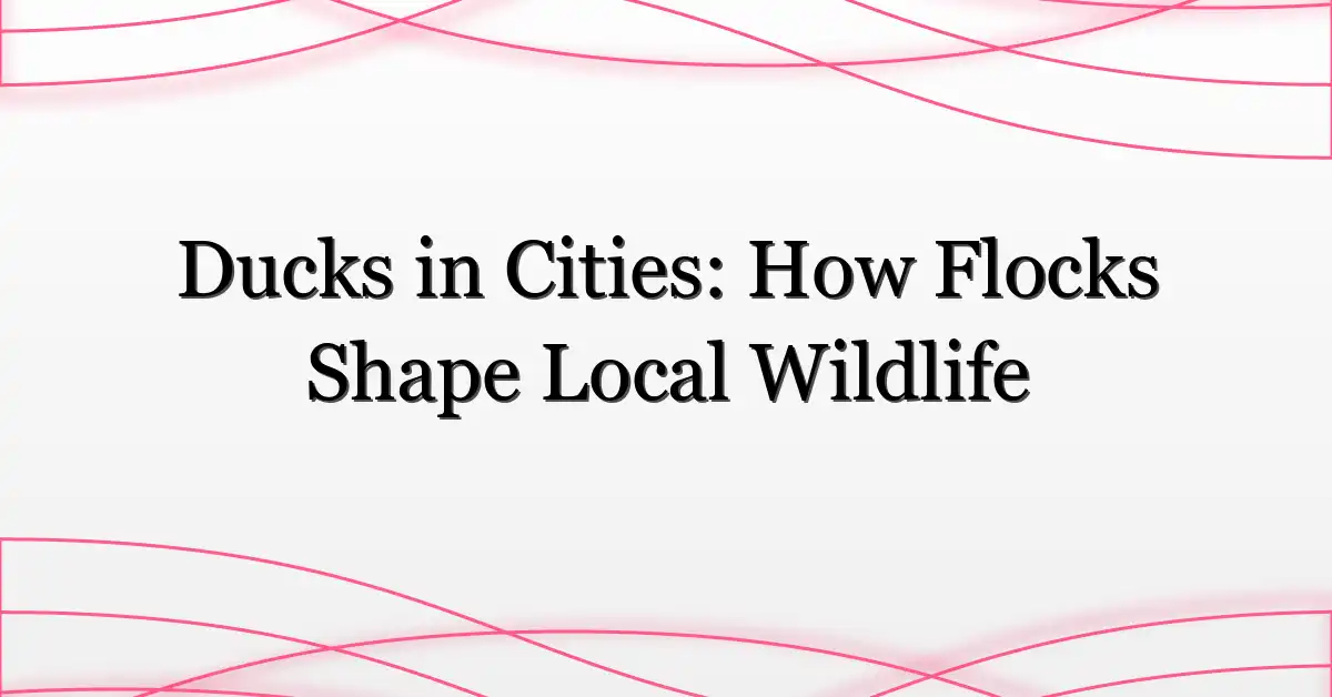 Ducks in Cities: How Flocks Shape Local Wildlife