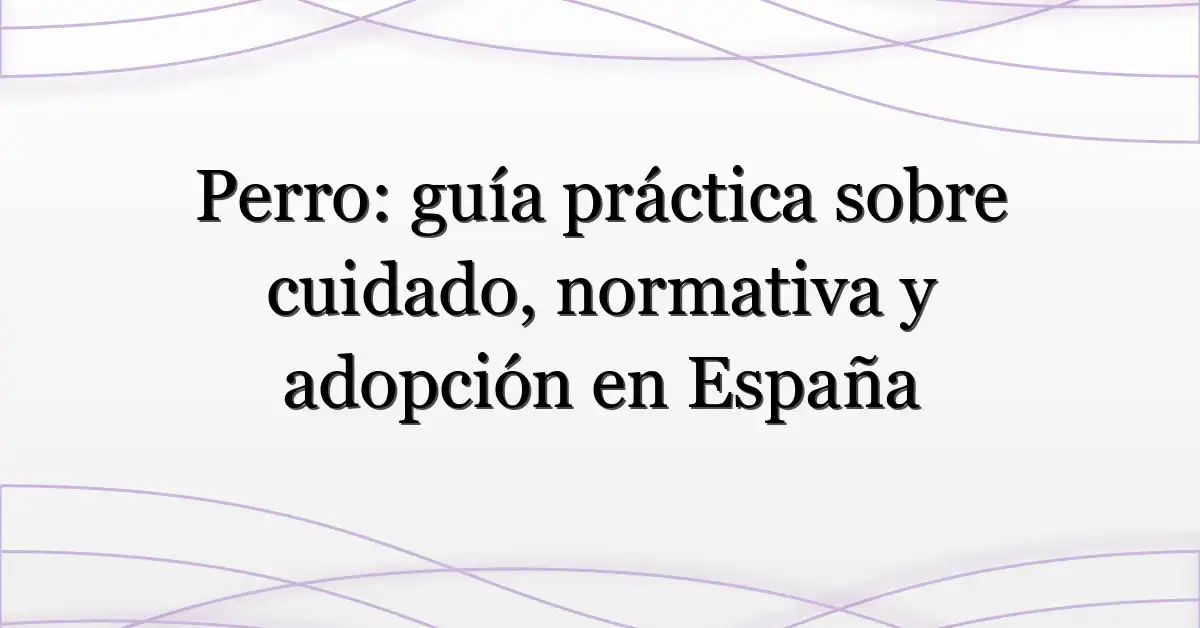 Perro: guía práctica sobre cuidado, normativa y adopción en España