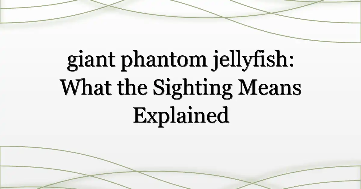 giant phantom jellyfish: What the Sighting Means Explained