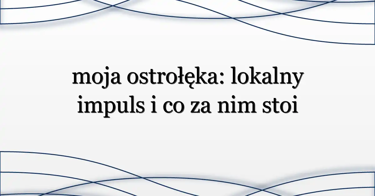 moja ostrołęka: lokalny impuls i co za nim stoi