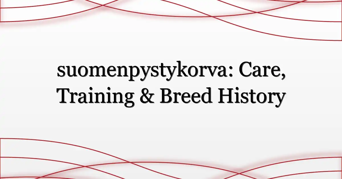 suomenpystykorva: Care, Training & Breed History