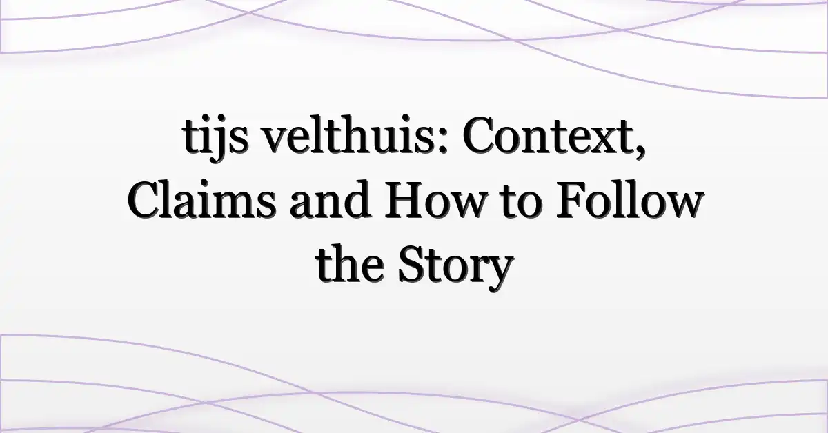 tijs velthuis: Context, Claims and How to Follow the Story